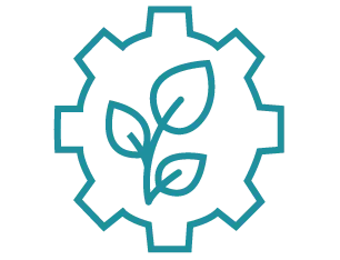 digital signage software